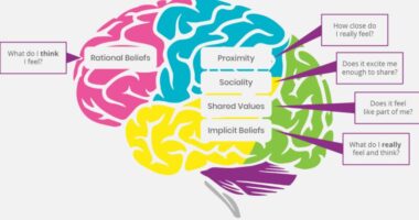 Displays the areas of the brain that outline the primary systems and their coordination to Project Management